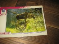 044 LOOC 1991 Elgen- skogens konge