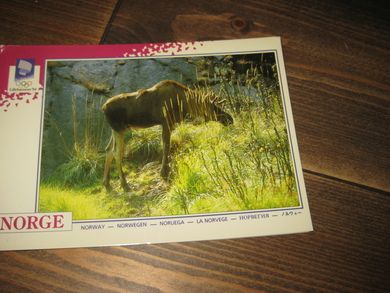 044 LOOC 1991 Elgen- skogens konge