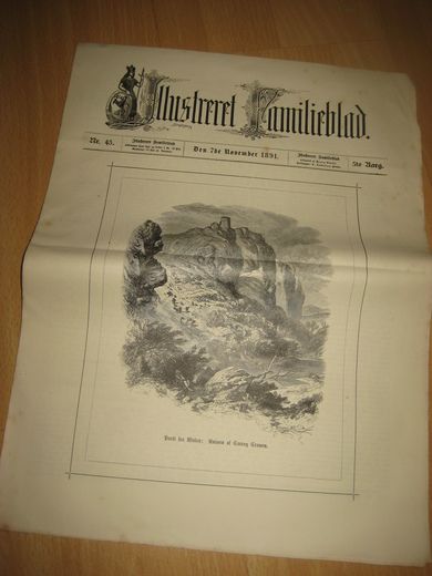 1891 nr 045 Illustreret Familieblad