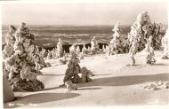 832, Vinter i Norge, Mittet & Co