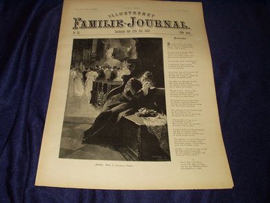 1896 nr 028 Illustreret Familie Journal