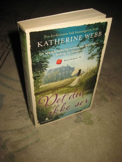 WEBB, KATHERINE. Det du ikke ser. 2014.