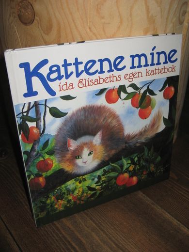 Kattene mine 1992
