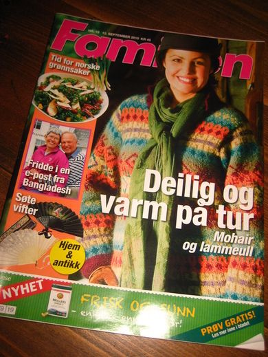 2010 nr 019 Familien