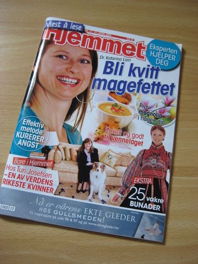 2008 nr 017 Hjemmet