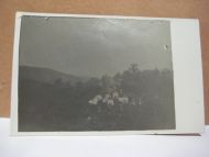 Kort fra 1921