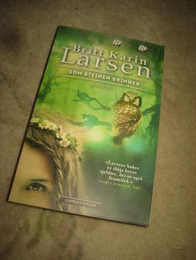 LARSEN: SOM STEINEN SKINNER 2013