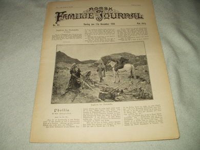 1900 nr 045 NORSK FAMILIE JOURNAL