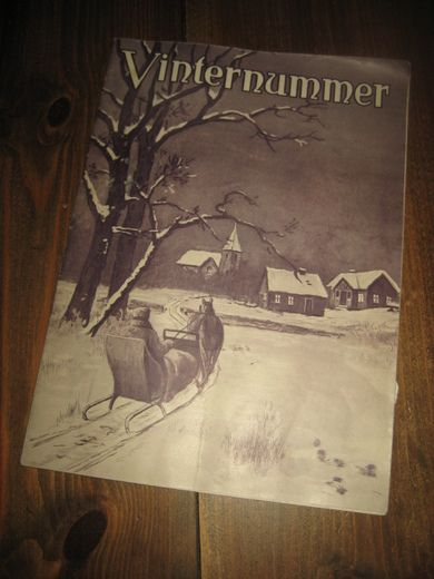 1925 nr 025 Evangeliets Sendebud