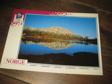 066 LOOC 1991 Gaustatoppen