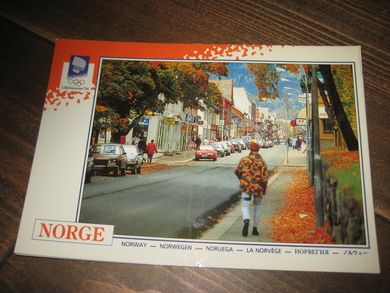 058 LOOC 1991 OL- byen i høststemning