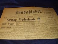 1894,nr 038, Landsbladet