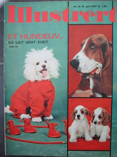 1967 nr 016 Illustrert