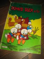 1977 nr 041 DONALD DUCK & CO