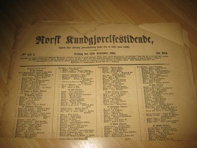 1894 nr 223 Norsk Kundgjørelsestidende