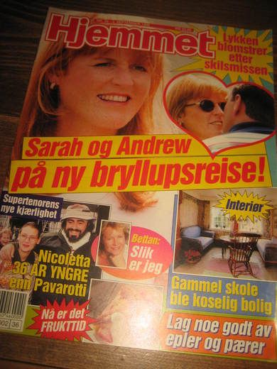 1996 nr 036 Hjemmet NICOLETTA OG PAVAROTTI