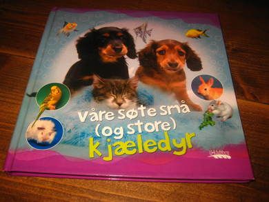 Våre søte små kjærester. 2003