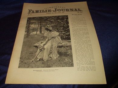 1895 nr 033 Illustrert Familie - Journal