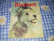 1955 nr 047 Illustrert