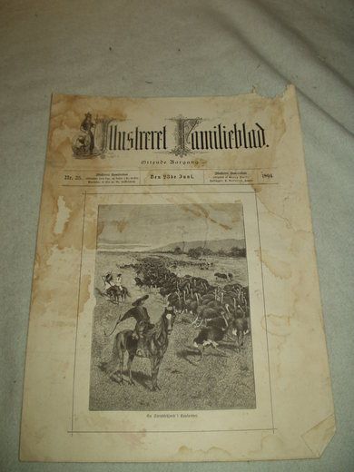 1894 nr 025 Illustrere Familieblad