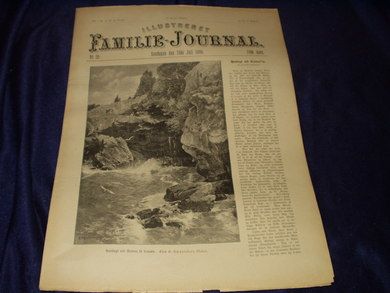 1896 nr 029 Illustreret Familie Journal