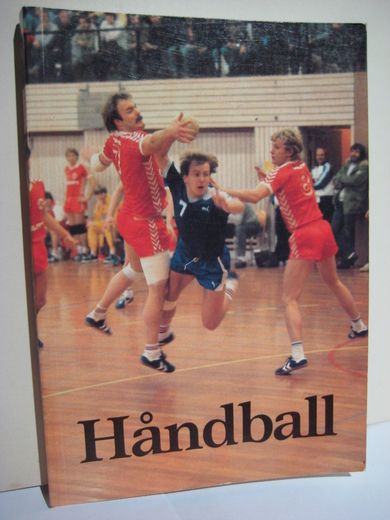 Mikkelsen: Håndball 1981