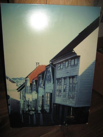 Pent Bergens bilde ca 34*50 cm stort