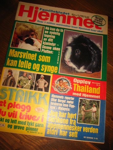 1979 nr 008 Hjemmet
