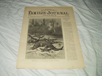 1894 nr 041 Illustrert Familie Journal