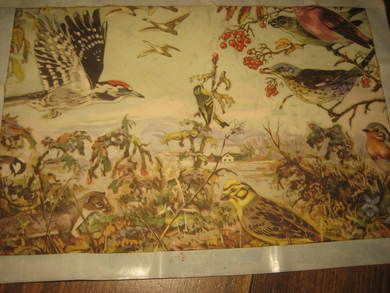 Eldre bilde klart for innramming Ca 24*16 cm stort