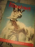 1956 nr 028 ILLUSTRERT