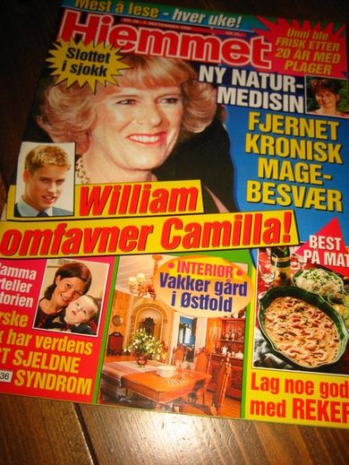 1999 nr 036 Hjemmet
