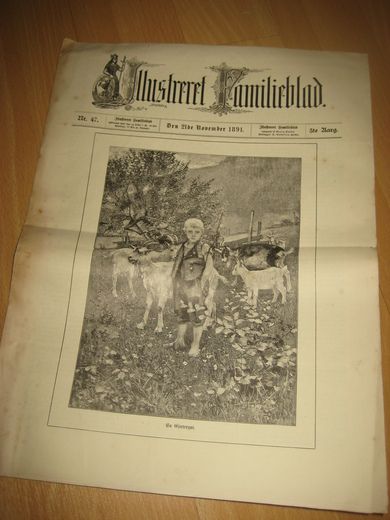 1891 nr 047 Illustreret Familieblad