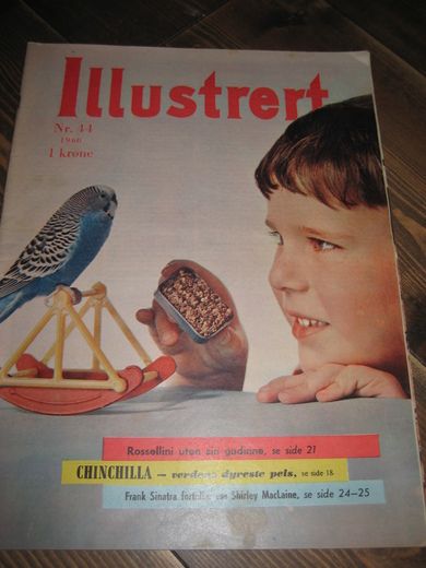 1960 nr 044 Illustrert