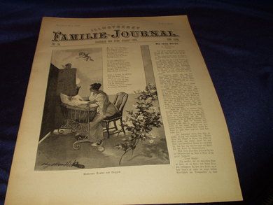 1895 nr 034 Illustrert Familie - Journal