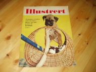 1964 nr 017 Illustrert