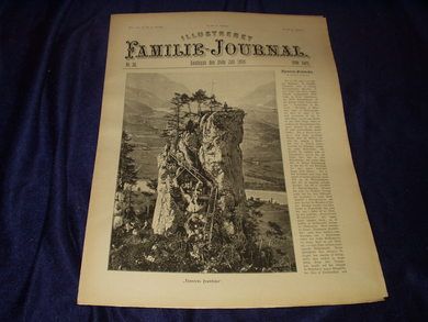 1896 nr 030 Illustreret Familie Journal