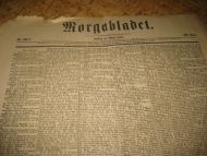 1878,nr 102. Morgenbladet.