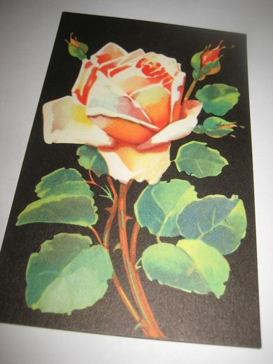 Strøkent, ubrukt kort, NORSK ARBEIDE, blomster.