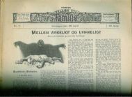 1906 nr 017 MELLEM VIRKELIGT OG UVIRKELIGT