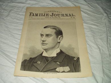 1894 nr 042 Illustrert Familie Journal