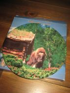 Pynteplatte nr 10 fra Villmarksserien 21 cm i diameter