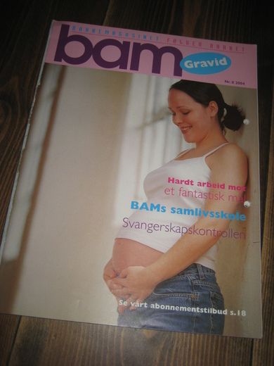 2004 nr 0 GRAVID bam