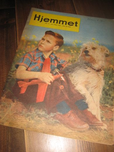 1956 nr 017 Hjemmet