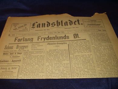 1894 nr 134 Landsbladet