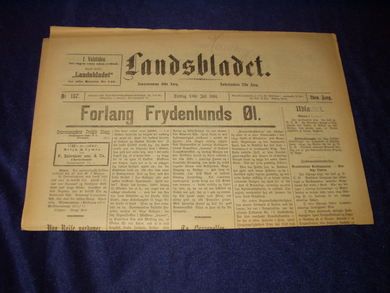 1894 nr 157 Landsbladet