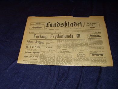 1894 nr 140 Landsbladet