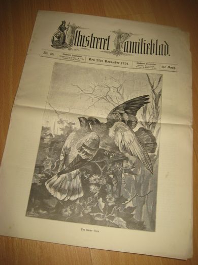 1891 nr 048 Illustreret Familieblad