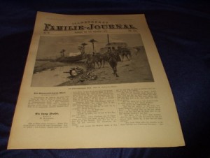 1895,nr 035, Illustrert Familie - Journal