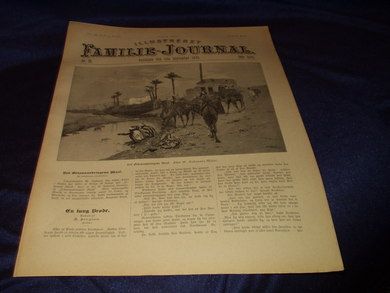 1895 nr 035 Illustrert Familie - Journal